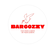 Bargozzy logo